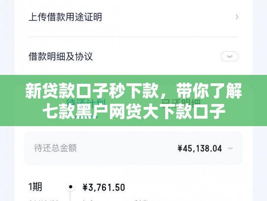 新贷款口子秒下款，带你了解七款黑户网贷大下款口子