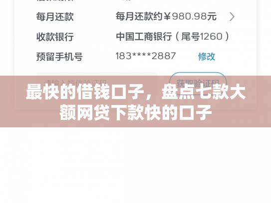 最快的借钱口子，盘点七款大额网贷下款快的口子