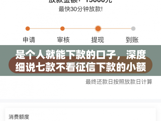 是个人就能下款的口子，深度细说七款不看征信下款的小额贷款