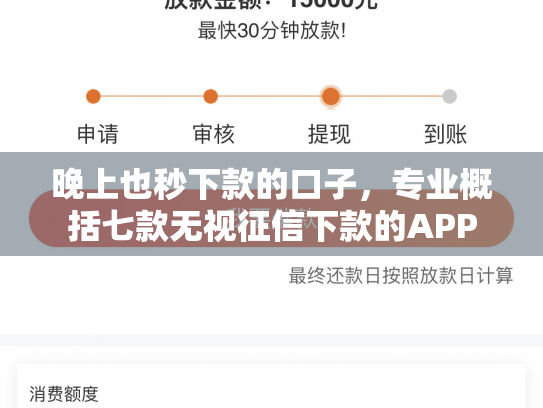 晚上也秒下款的口子，专业概括七款无视征信下款的APP