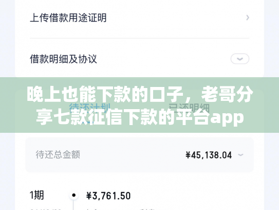晚上也能下款的口子，老哥分享七款征信下款的平台app