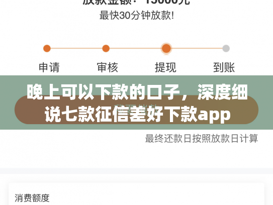 晚上可以下款的口子，深度细说七款征信差好下款app