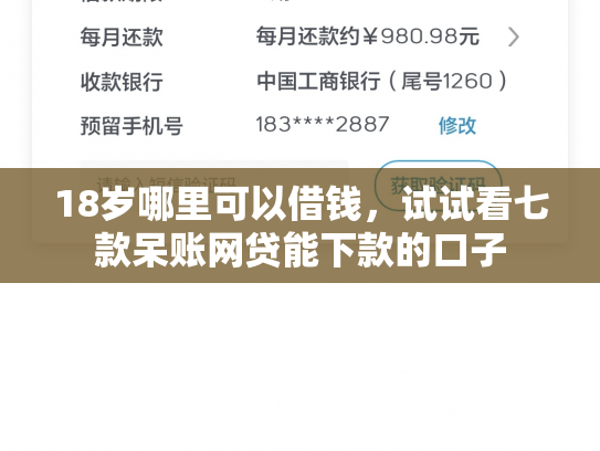 18岁哪里可以借钱，试试看七款呆账网贷能下款的口子