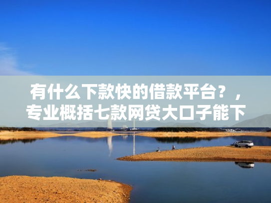 有什么下款快的借款平台？，专业概括七款网贷大口子能下款