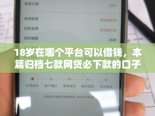 18岁在哪个平台可以借钱，本篇归档七款网贷必下款的口子是什么