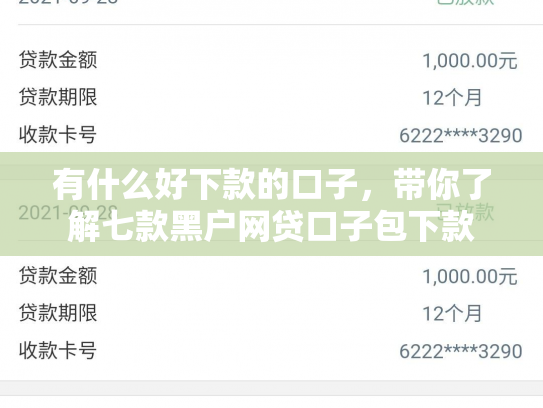 有什么好下款的口子，带你了解七款黑户网贷口子包下款