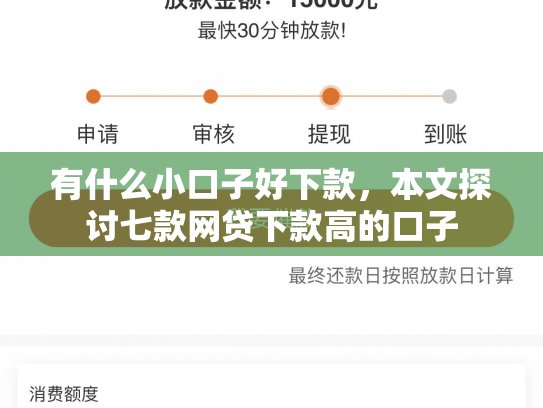 有什么小口子好下款，本文探讨七款网贷下款高的口子