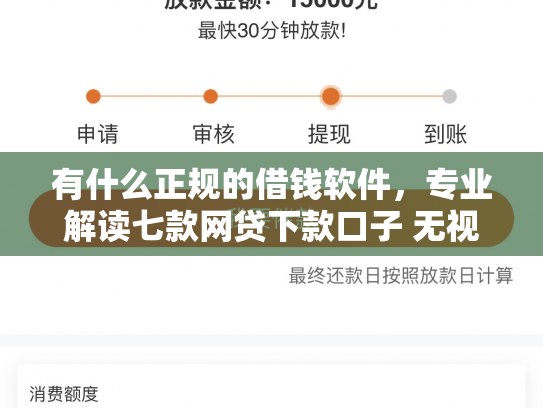 有什么正规的借钱软件，专业解读七款网贷下款口子 无视黑白