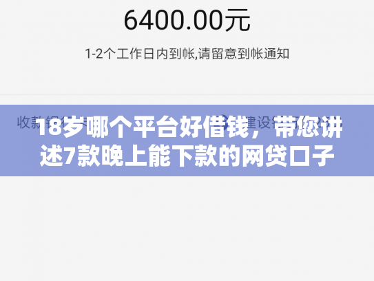 18岁哪个平台好借钱，带您讲述7款晚上能下款的网贷口子