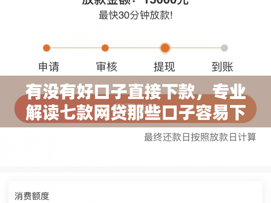 有没有好口子直接下款，专业解读七款网贷那些口子容易下款