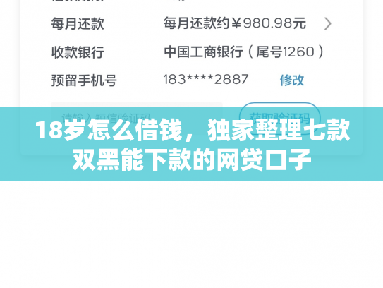18岁怎么借钱，独家整理七款双黑能下款的网贷口子
