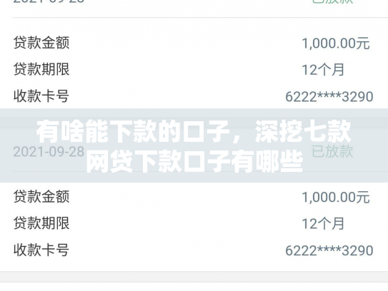 有啥能下款的口子，深挖七款网贷下款口子有哪些