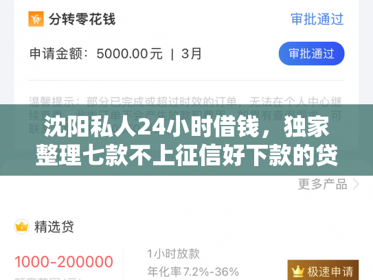 沈阳私人24小时借钱，独家整理七款不上征信好下款的贷款