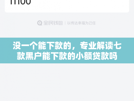 没一个能下款的，专业解读七款黑户能下款的小额贷款吗