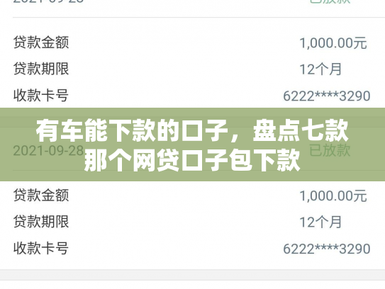 有车能下款的口子，盘点七款那个网贷口子包下款