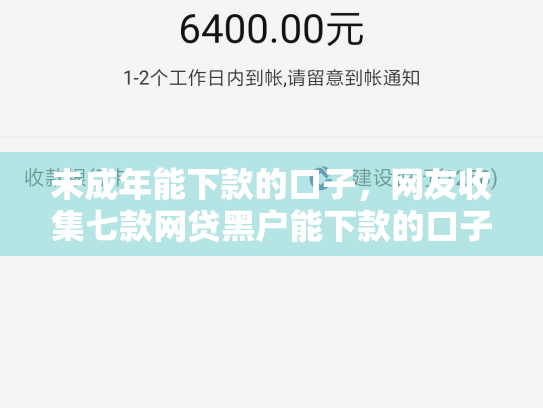 未成年能下款的口子，网友收集七款网贷黑户能下款的口子