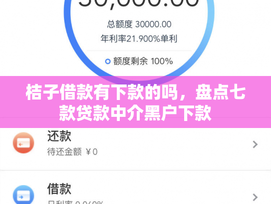 桔子借款有下款的吗，盘点七款贷款中介黑户下款