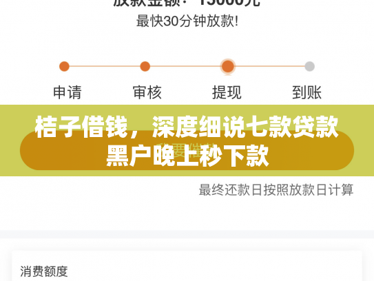 桔子借钱，深度细说七款贷款黑户晚上秒下款