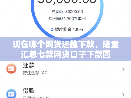 现在哪个网贷还能下款，隆重汇总七款网贷口子下款图