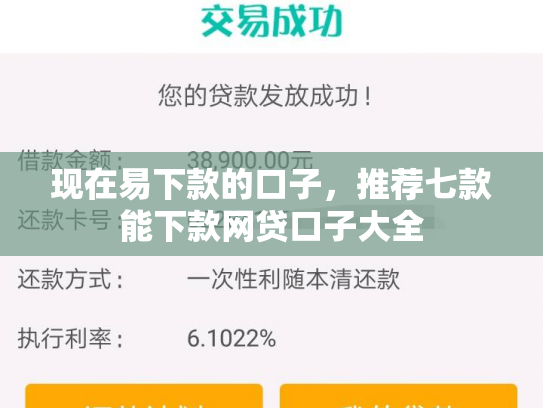 现在易下款的口子，推荐七款能下款网贷口子大全
