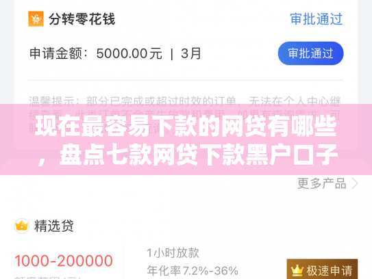 现在最容易下款的网贷有哪些，盘点七款网贷下款黑户口子