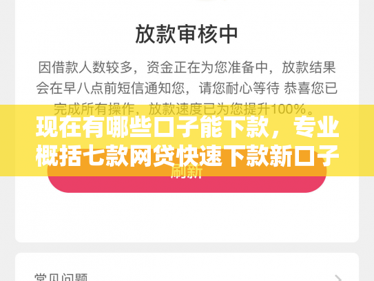现在有哪些口子能下款，专业概括七款网贷快速下款新口子
