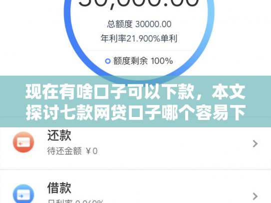 现在有啥口子可以下款，本文探讨七款网贷口子哪个容易下款