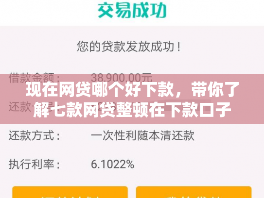 现在网贷哪个好下款，带你了解七款网贷整顿在下款口子