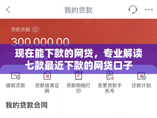 现在能下款的网贷，专业解读七款最近下款的网贷口子