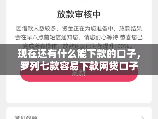 现在还有什么能下款的口子，罗列七款容易下款网贷口子