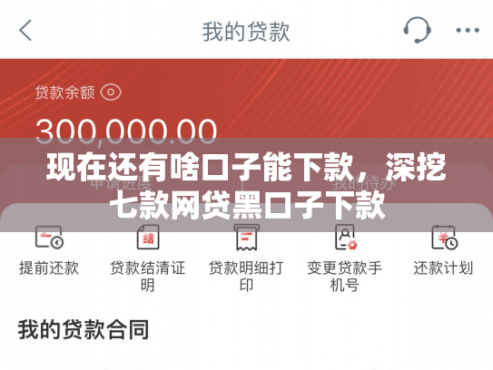 现在还有啥口子能下款，深挖七款网贷黑口子下款