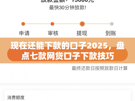 现在还能下款的口子2025，盘点七款网贷口子下款技巧