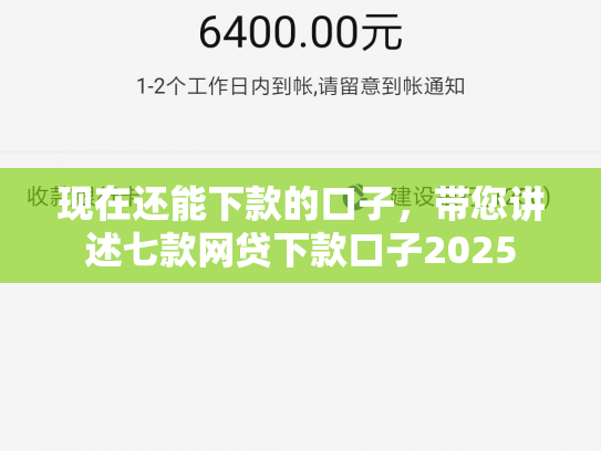 现在还能下款的口子，带您讲述七款网贷下款口子2025