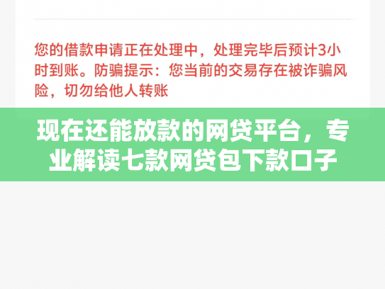 现在还能放款的网贷平台，专业解读七款网贷包下款口子