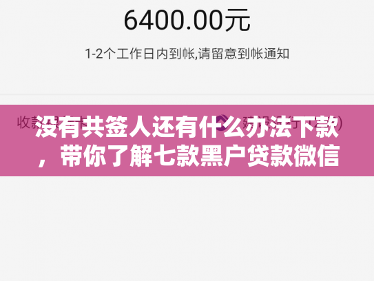 没有共签人还有什么办法下款，带你了解七款黑户贷款微信下款可靠吗知乎