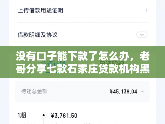 没有口子能下款了怎么办，老哥分享七款石家庄贷款机构黑户也能带下款