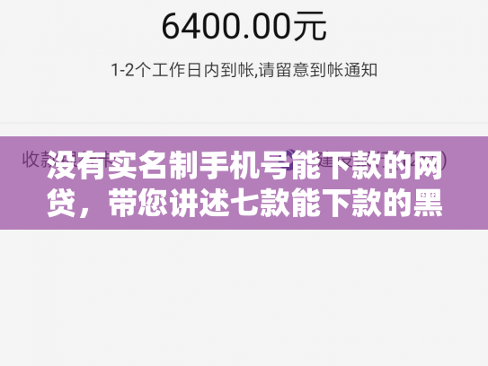 没有实名制手机号能下款的网贷，带您讲述七款能下款的黑户贷款平台是真的吗