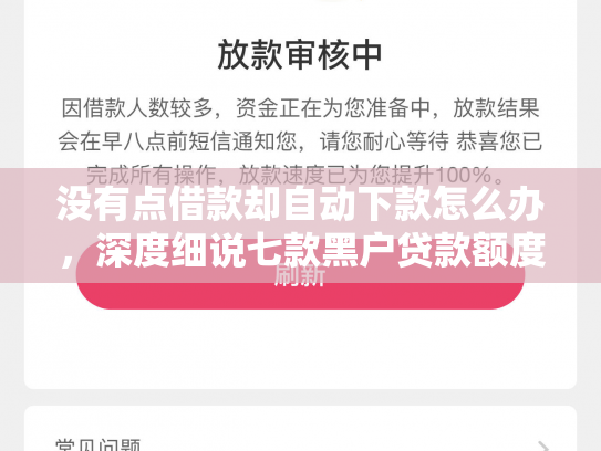 没有点借款却自动下款怎么办，深度细说七款黑户贷款额度高下款快
