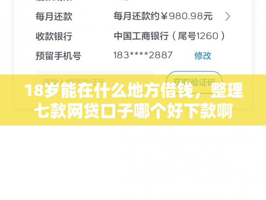 18岁能在什么地方借钱，整理七款网贷口子哪个好下款啊