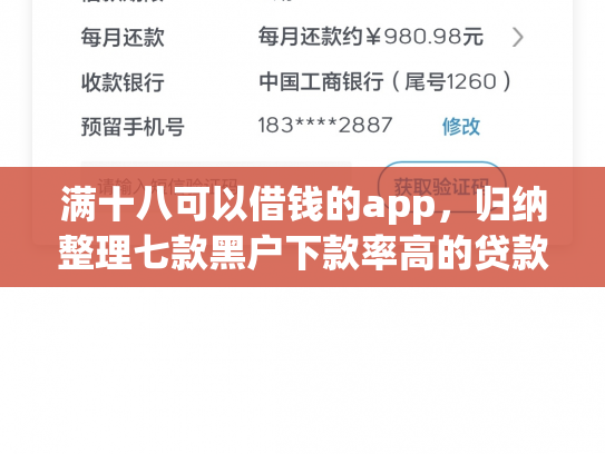 满十八可以借钱的app，归纳整理七款黑户下款率高的贷款平台