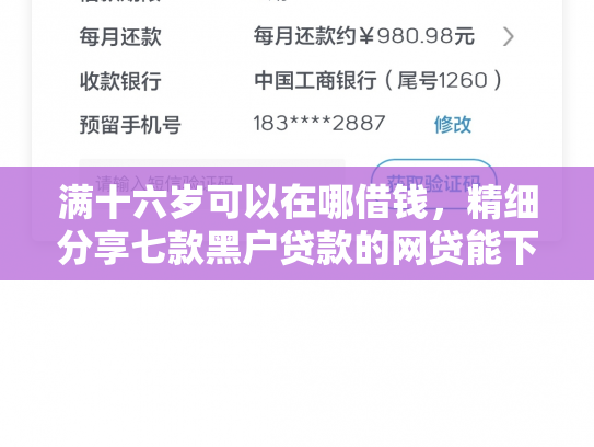 满十六岁可以在哪借钱，精细分享七款黑户贷款的网贷能下款吗