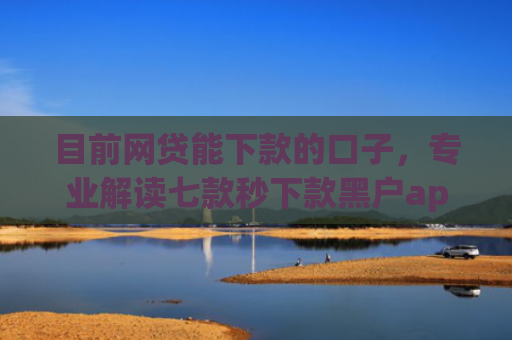 目前网贷能下款的口子，专业解读七款秒下款黑户app6