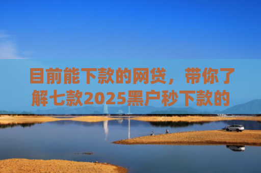 目前能下款的网贷，带你了解七款2025黑户秒下款的app