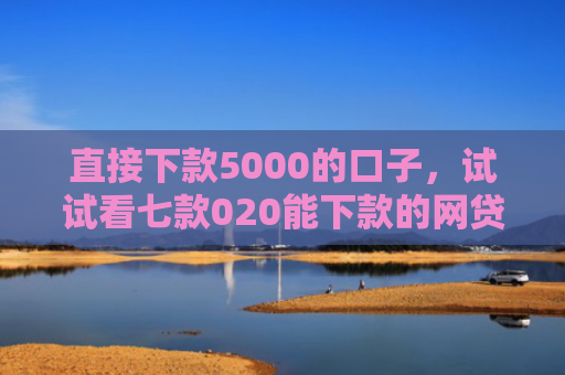 直接下款5000的口子，试试看七款020能下款的网贷口子