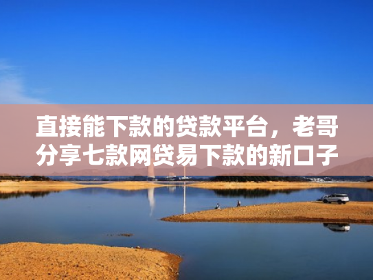 直接能下款的贷款平台，老哥分享七款网贷易下款的新口子