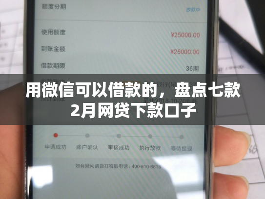 用微信可以借款的，盘点七款2月网贷下款口子