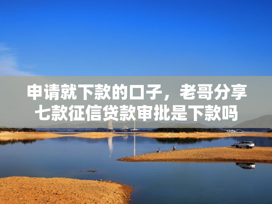 申请就下款的口子，老哥分享七款征信贷款审批是下款吗