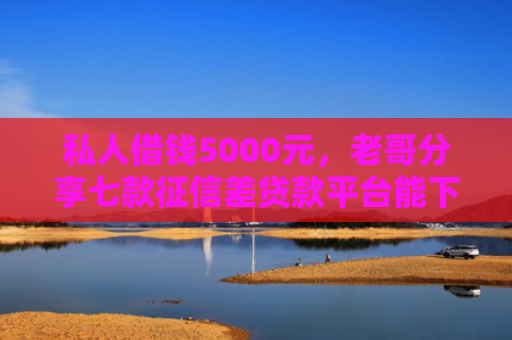 私人借钱5000元，老哥分享七款征信差贷款平台能下款吗安全吗