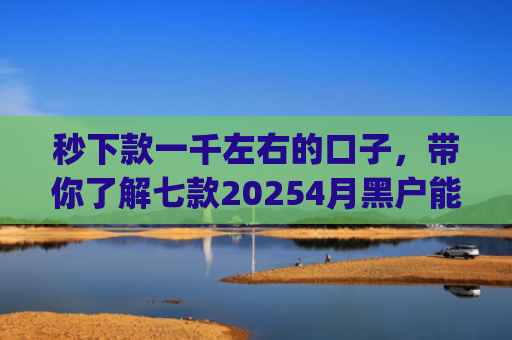 秒下款一千左右的口子，带你了解七款20254月黑户能下款app
