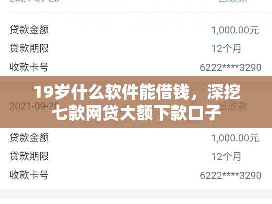 19岁什么软件能借钱，深挖七款网贷大额下款口子